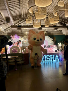 Kids Party Mascot Character by Balloon Decoration Bhopal
